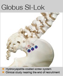 Globus SI-Lok summary box Mar 16